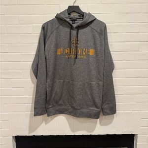 Champion Gray Pullover UC Irvine Hoodie Sweatshirt